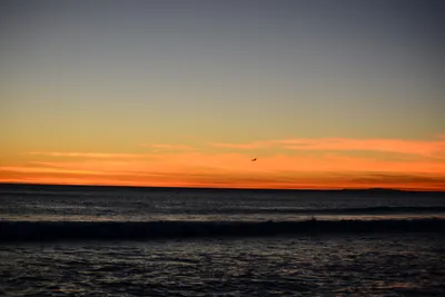 DSC_1311 (Large).JPG